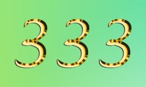 333-angel-number